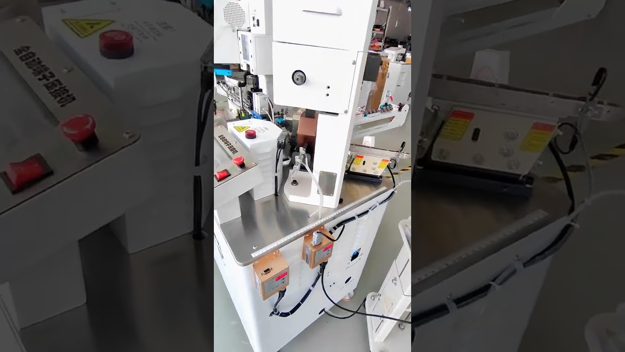 Vollautomatische Kabelbaumverarbeitung für lose Einzelanschlüsse – Kosteneffiziente Fabrikautomation
