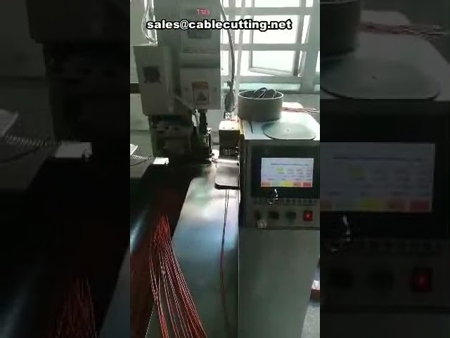 Vollautomatische Draht-Crimp-Maschine – Schneiden, Abisolieren und Crimpen beider Enden