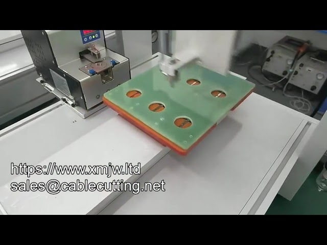 Desktop-Automatik-Schraubroboter – Präzises Schnellverschrauben für die Industrie