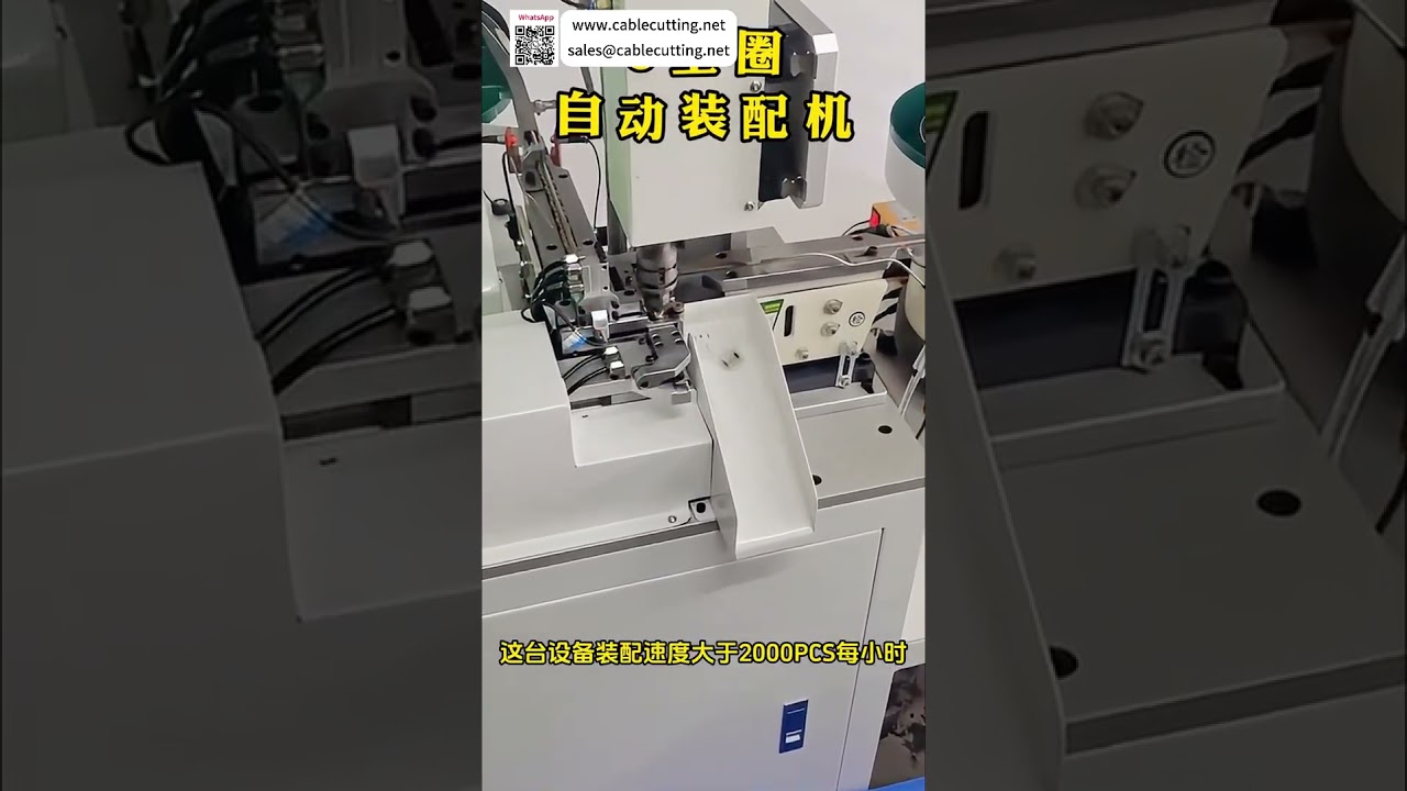 Zuverlässiger Hersteller von Circlip-Montageanlagen – Innovative automatisierte Maschinenlösungen - Kurzvideo