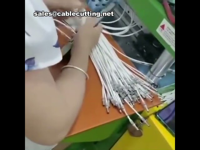 Vertikale Spritzgießmaschine für DC-Stecker und Kabel – PVC, TPE, PP, PE Präzisionsformung