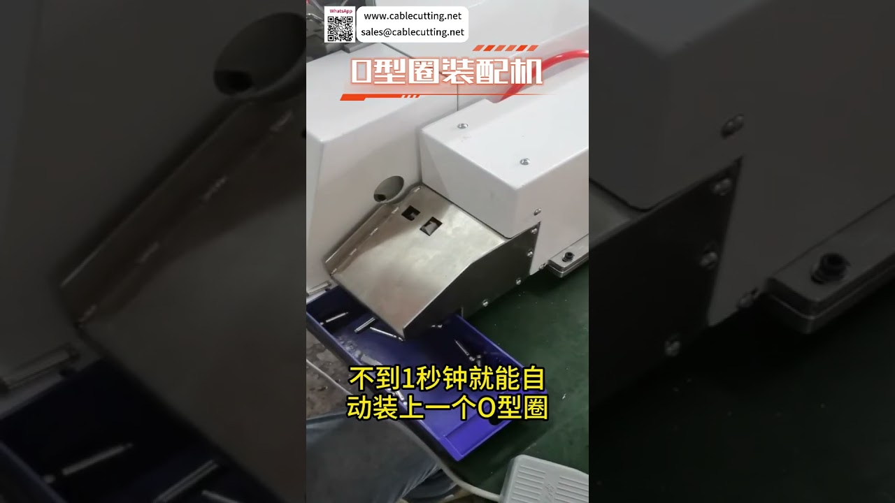 Intelligente O-Ring Montagemaschine – Hochleistungs-Automatik für Dichtungsring-Produktion
