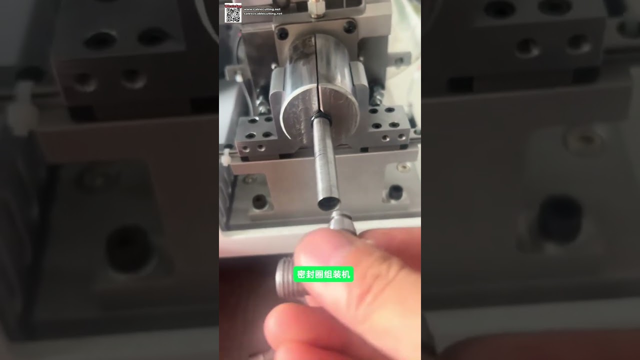 Automatische O-Ring-Montagemaschine für Gummi-Flexdichtungen – Kurzversion