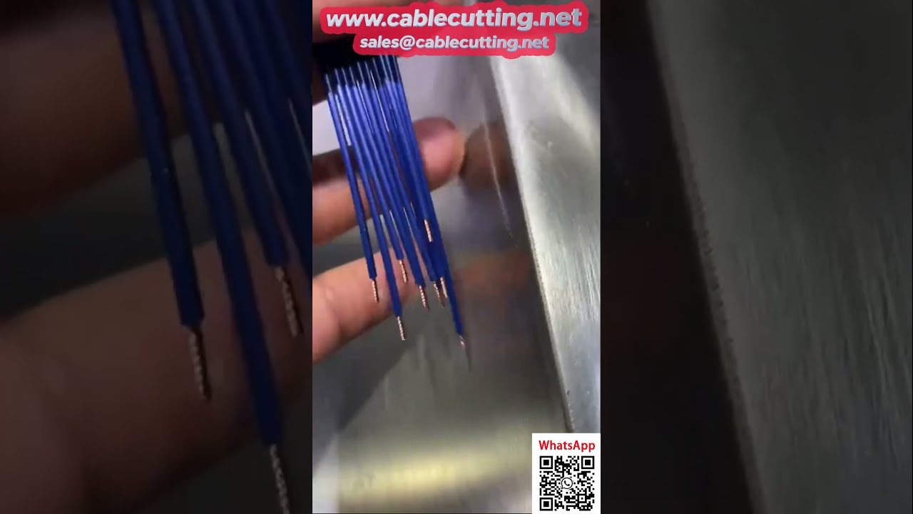 Automatische Maschine zum Einsetzen und Verdrillen von wasserdichten Minidichtungen | Effiziente Produktionsautomatisierung