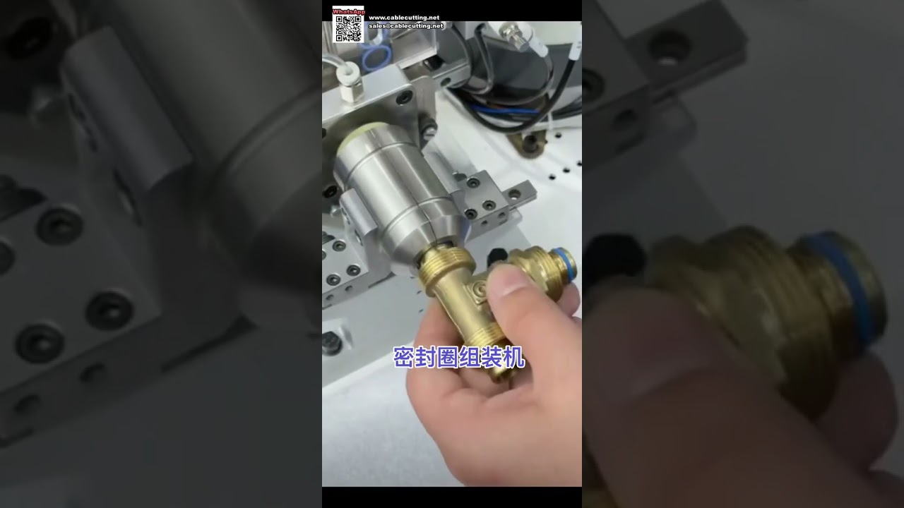 Vollautomatische O-Ring-Montageanlage für die Automobilindustrie – Kurzversion